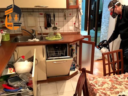 Уничтожение тараканов в квартире на Чеховской